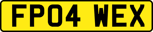 FP04WEX