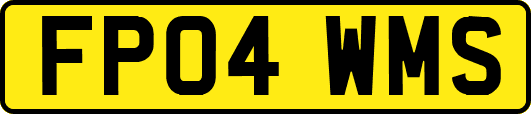 FP04WMS