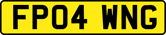 FP04WNG