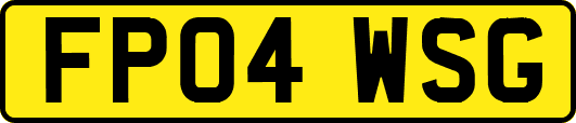 FP04WSG