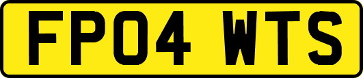 FP04WTS
