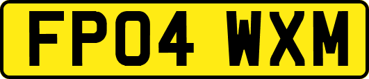 FP04WXM