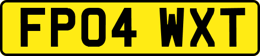 FP04WXT