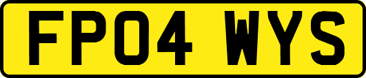 FP04WYS
