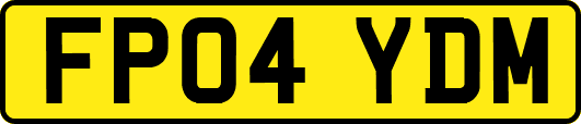 FP04YDM