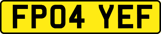 FP04YEF