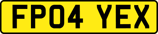 FP04YEX