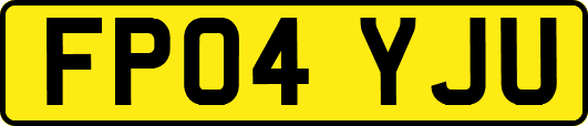 FP04YJU