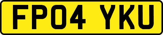 FP04YKU