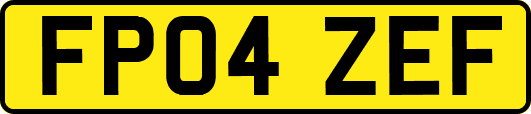 FP04ZEF