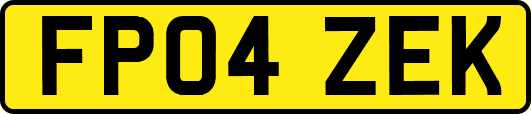 FP04ZEK
