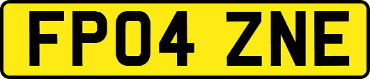 FP04ZNE
