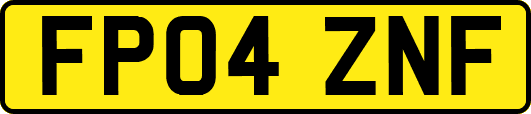 FP04ZNF