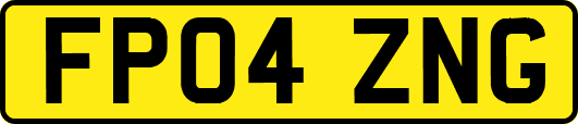 FP04ZNG