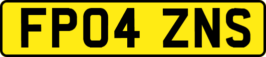 FP04ZNS