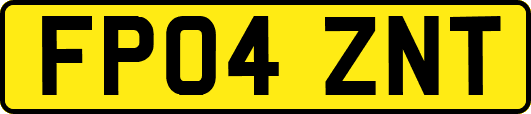 FP04ZNT