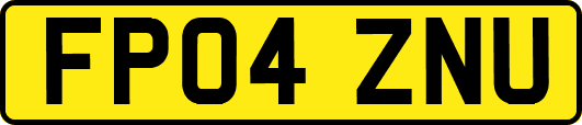 FP04ZNU