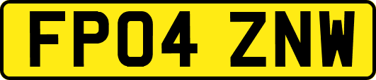 FP04ZNW