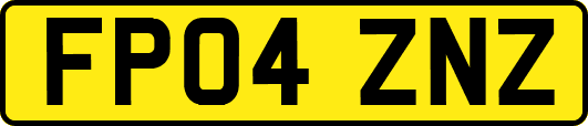 FP04ZNZ