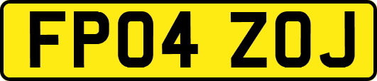 FP04ZOJ
