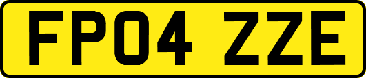 FP04ZZE