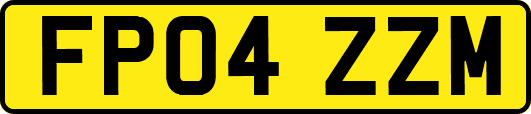 FP04ZZM