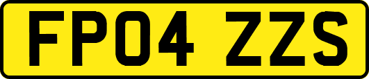 FP04ZZS