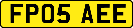 FP05AEE