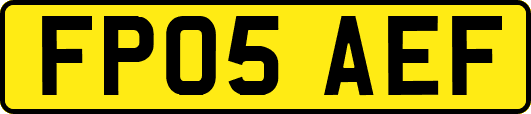 FP05AEF