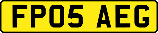 FP05AEG