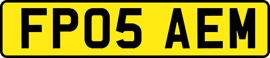 FP05AEM