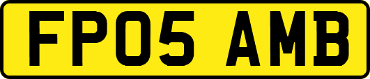 FP05AMB