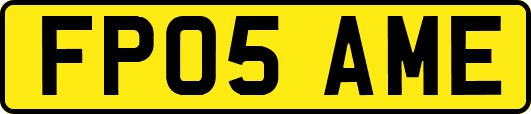 FP05AME