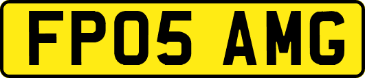 FP05AMG