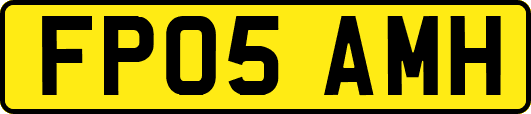 FP05AMH