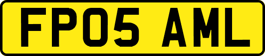 FP05AML