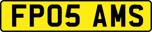 FP05AMS