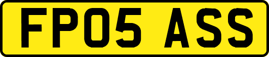 FP05ASS