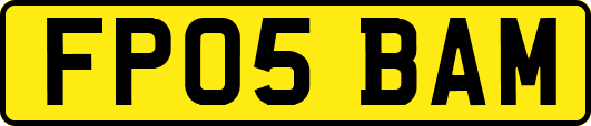FP05BAM