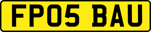 FP05BAU