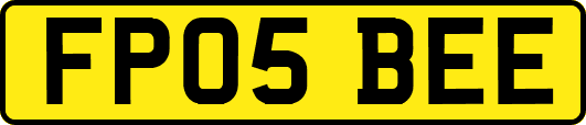 FP05BEE