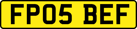 FP05BEF
