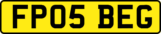 FP05BEG