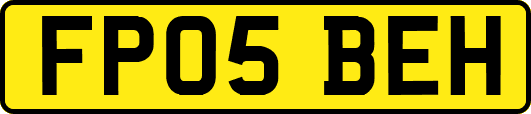 FP05BEH