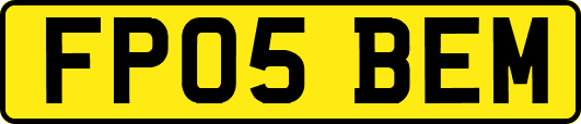 FP05BEM