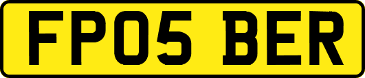 FP05BER