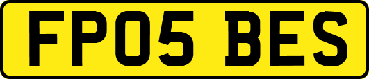 FP05BES