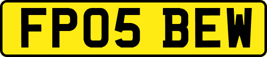 FP05BEW