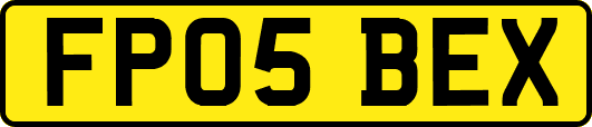 FP05BEX