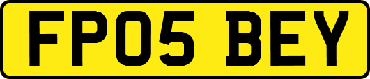 FP05BEY